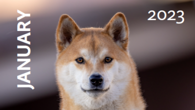 Dogs Calendar January 2023 - Free to Print