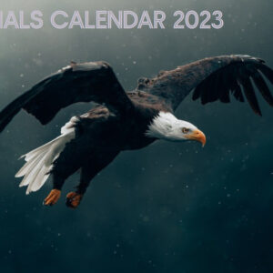 Animals Calendar 2023