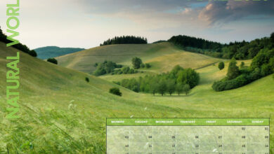 Natural World Calendar - April 2023