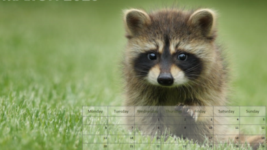 Animals Printable Calendar - March 2023
