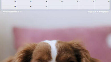 Free to Print Dogs Calendar for May 2023