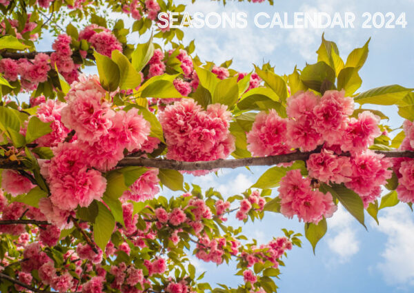 Seasons Calendar - 2024