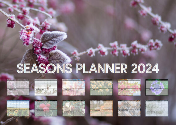 Seasons Planner - 2024