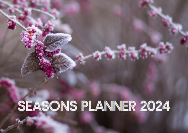 Seasons Planner - 2024