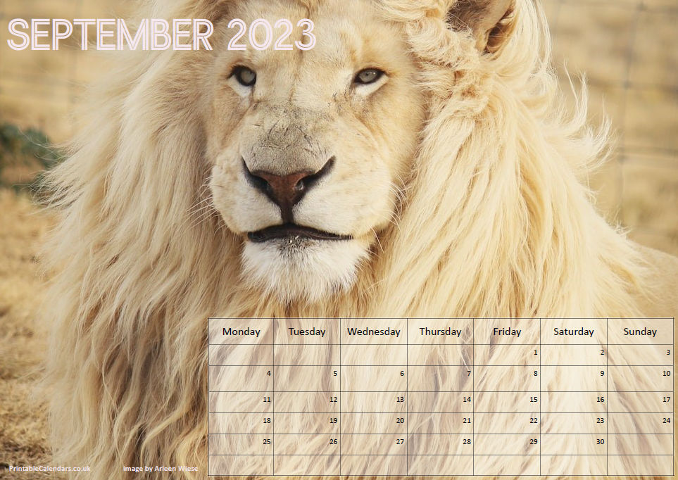 Animals Calendar - September 2023 - Free to Print