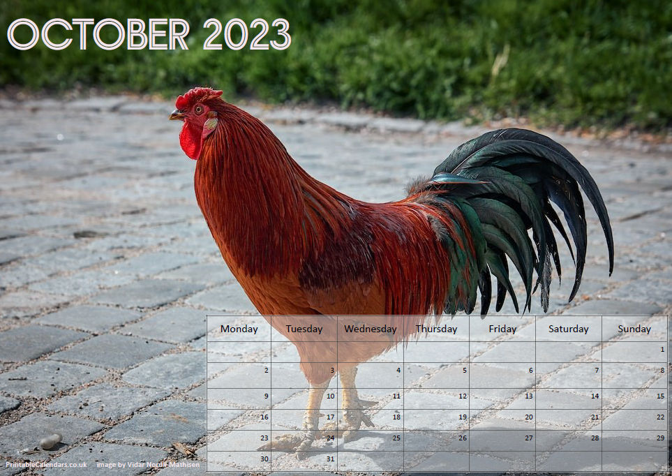Animals Calendar - October 2023 - Free to Print