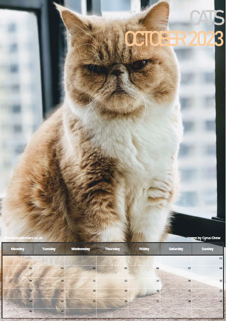 Cats Calendar - October 2023 - Free to Print