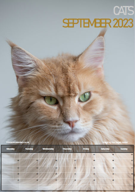 Cats Calendar - September 2023 - Free to Print