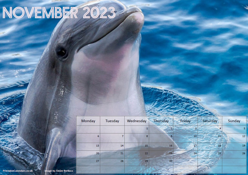 Animals Calendar - November 2023 - Free to Print