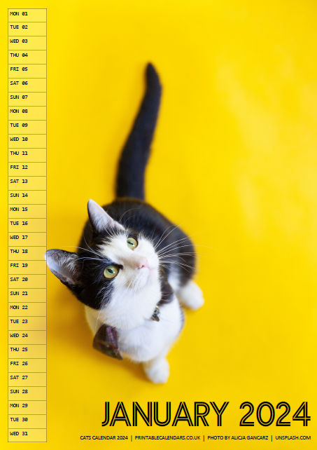 Cats Calendar - January 2024 - Free to Print