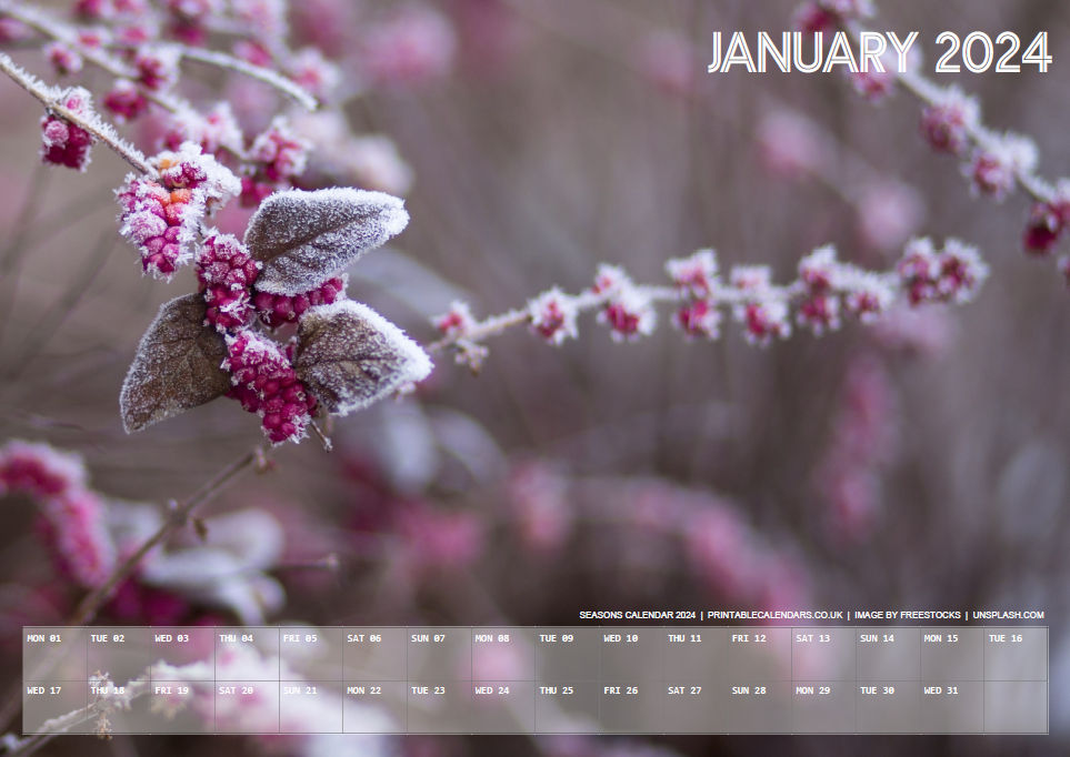 Seasons Calendar - January 2024 - Free to Print