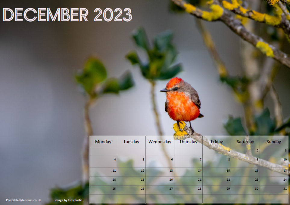 Animals Calendar - December 2023 - Free to Print