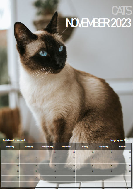 Cats Calendar - November 2023 - Free to Print
