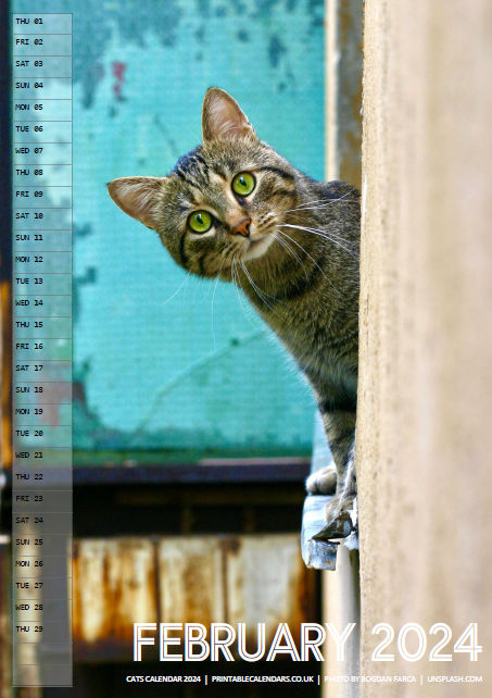 Cats Calendar - February 2024 - Free to Print
