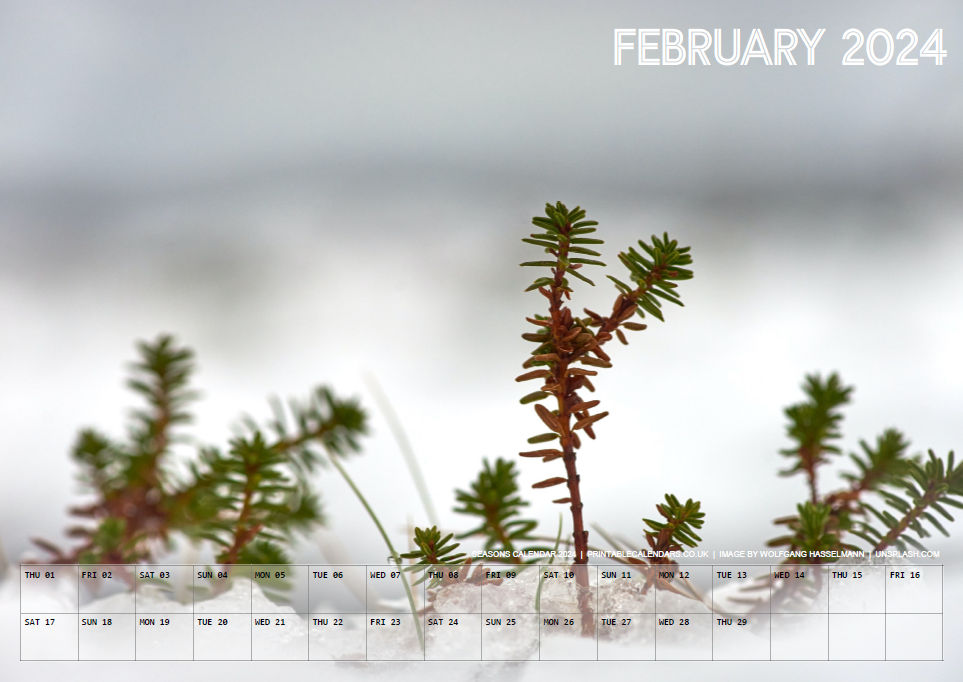 Seasons Calendar - February 2024 - Free to Print