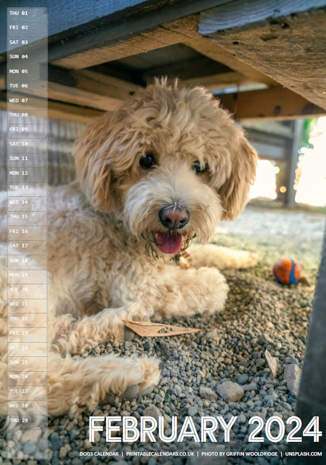 Dogs Calendar - February 2024 - Free to Print