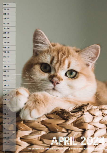 Cats Calendar - April 2024 - Free to Print