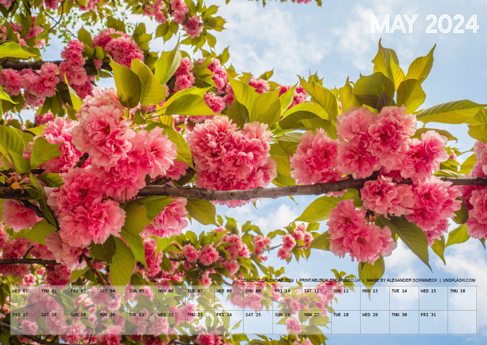 Seasons Calendar - May 2024 - Free to Print