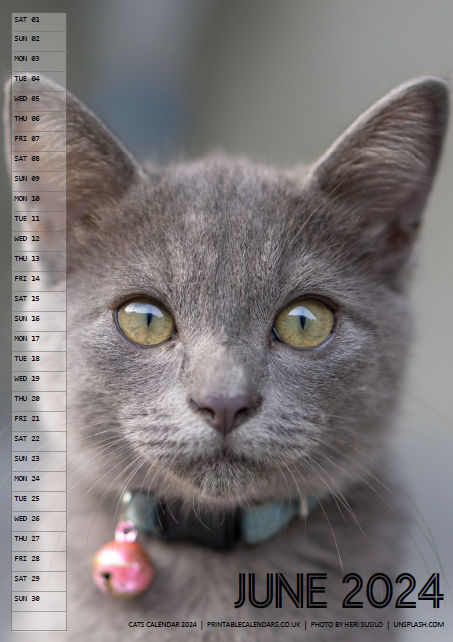Cats Calendar - June 2024 - Free to Print