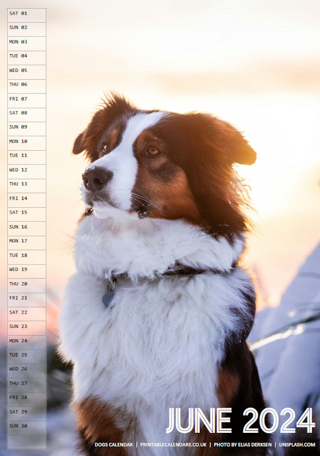 Dogs Calendar - June 2024 - Free to Print